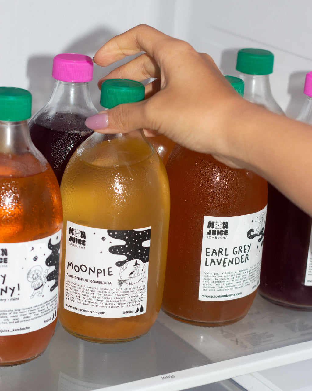 Hand selecting a bottle of kombucha from a refrigerator shelf with other bottles visible