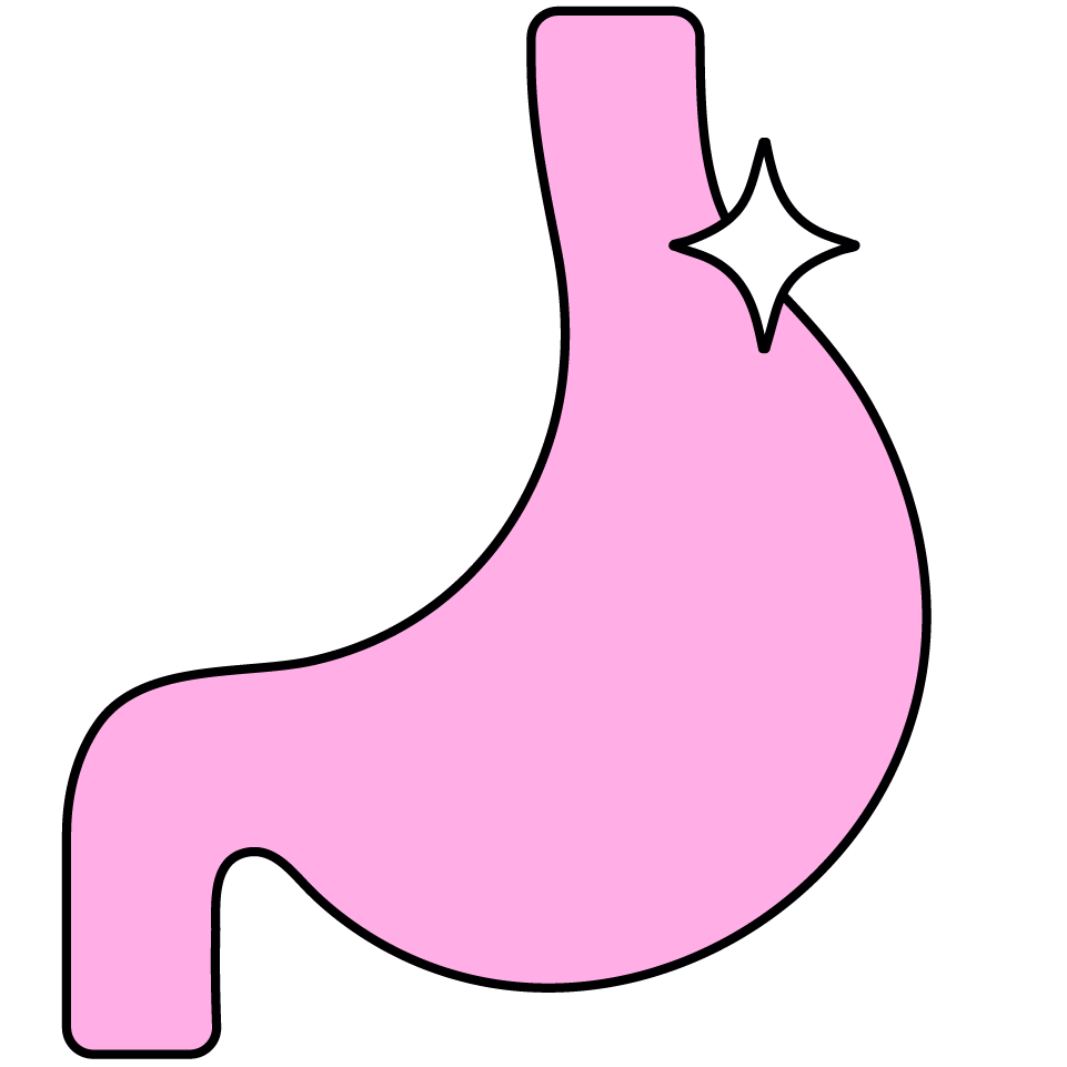 An illustration of a gut with a sparkle to indicate a healthy gut