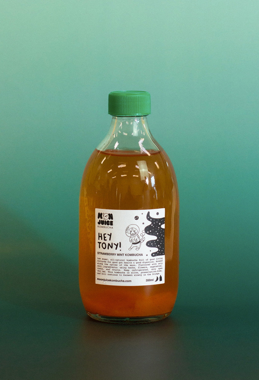 Bottle of 'Hey Tony!' kombucha with a green cap on a teal gradient background
