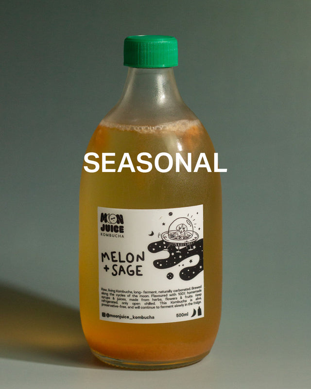 500ML Bottle of melon + sage kombucha with a green cap on a dark teal gradient background, with the caption "SEASONAL"