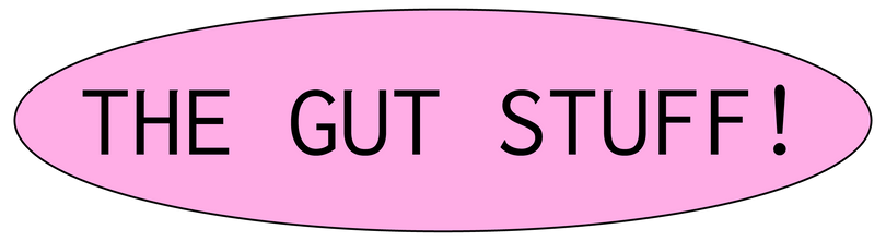 Pink oval sticker with 'THE GUT STUFF!' text in black
