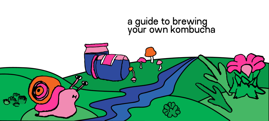 How to brew your own kombucha at home 🏡