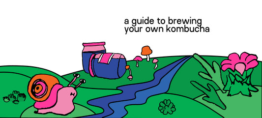 How to brew your own kombucha at home 🏡