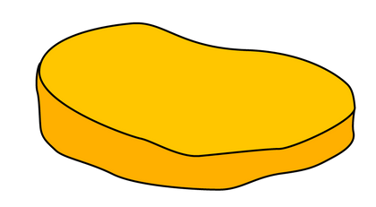 An illustration of a scoby pellicle