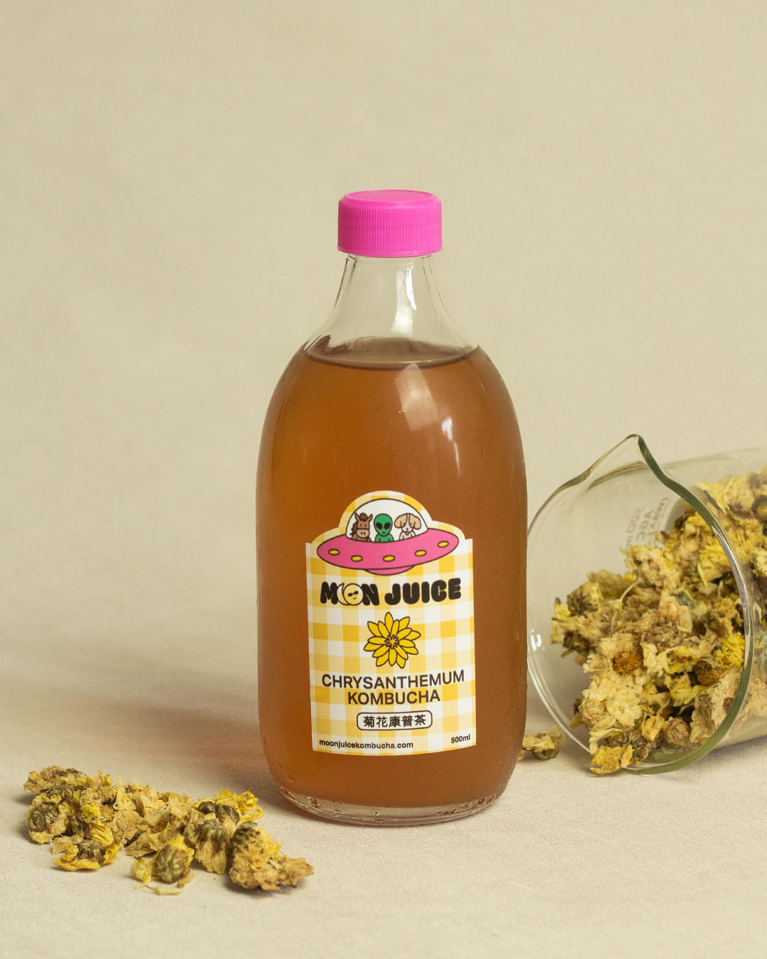 Festive Bundle - Moon Juice Kombucha