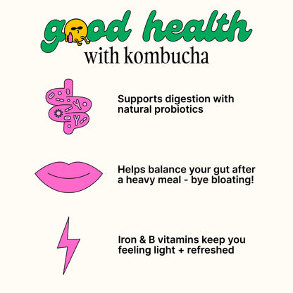 Kombucha Party Pack 📦 - Moon Juice Kombucha
