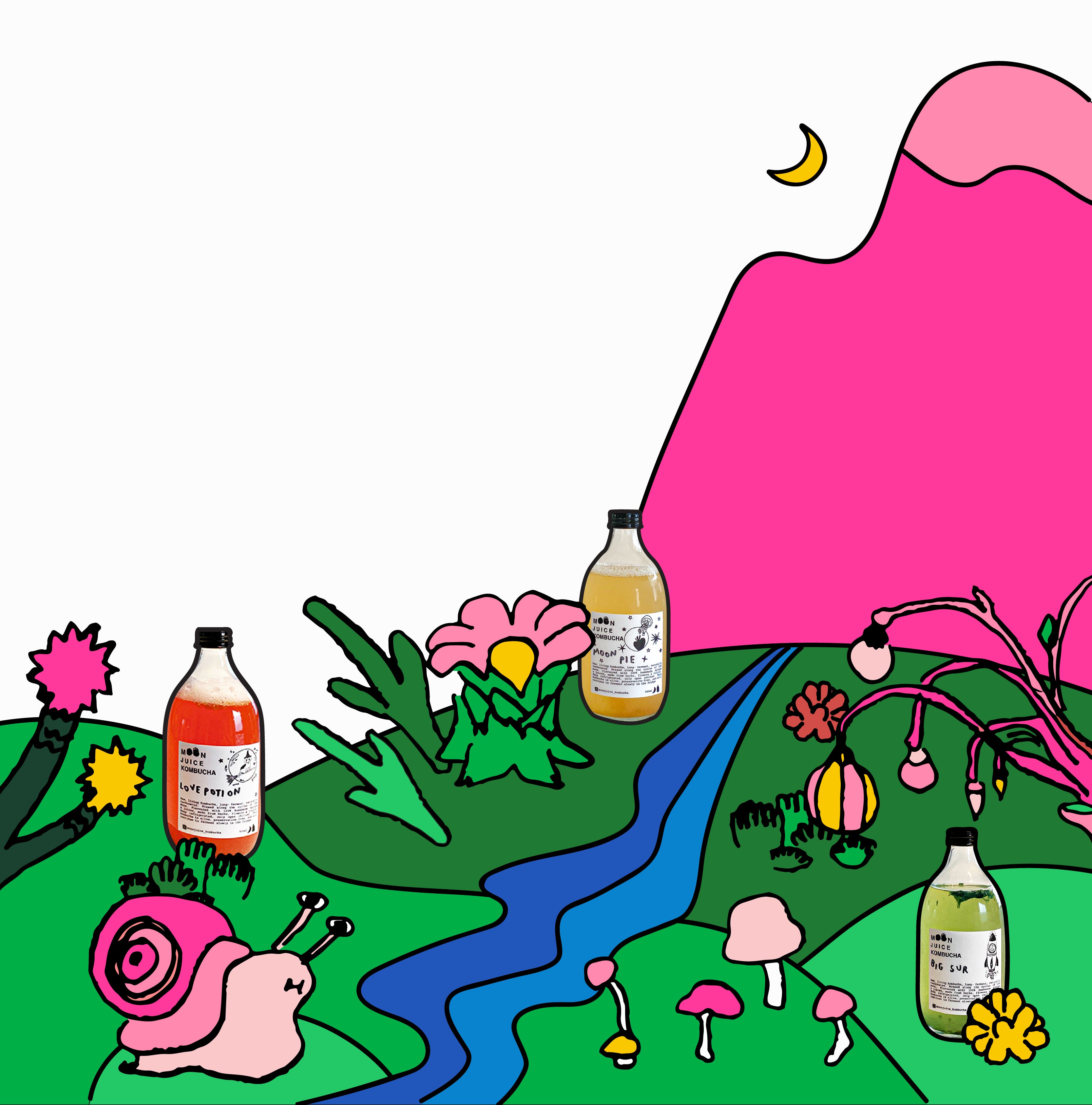 Landscape with kombucha bottles, mushrooms, plants & snails