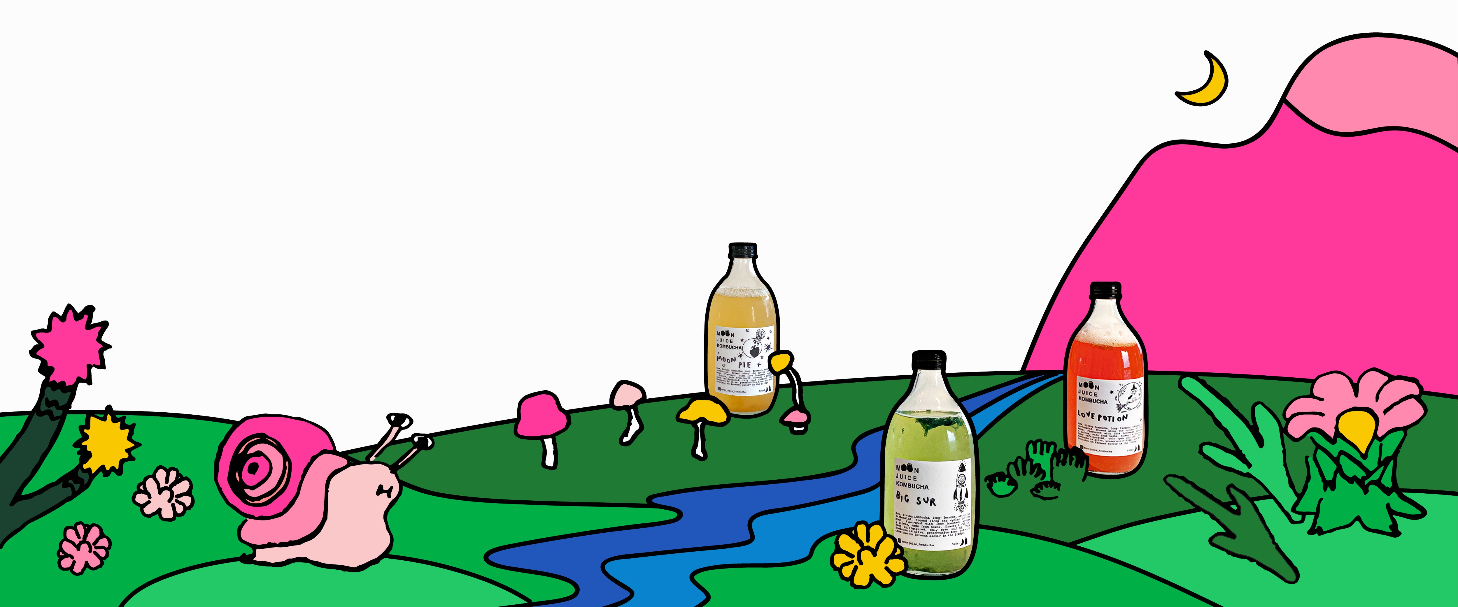 Landscape with kombucha bottles, mushrooms, plants & snails