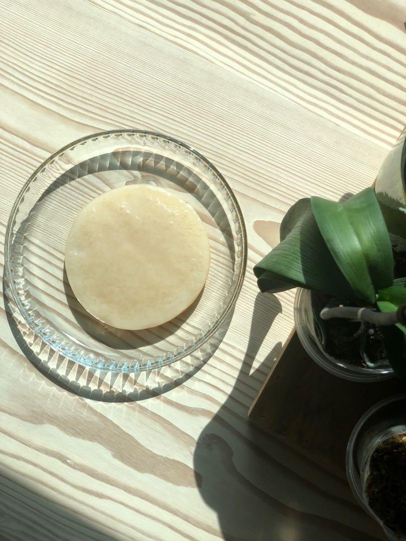 Organic SCOBY + Starter Tea - Moon Juice Kombucha