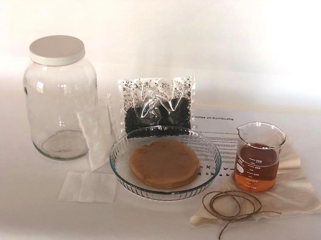 DIY Kombucha Starter kit - Moon Juice Kombucha